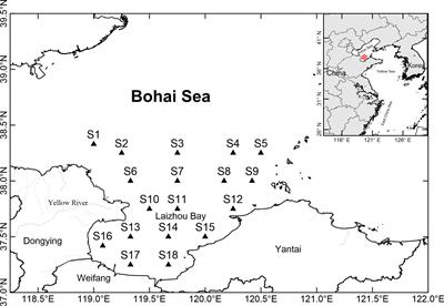 Occurrence of the calanoid copepod Acartia (Odontacartia) ohtsukai in Laizhou Bay, the Bohai Sea, China, and its relationship with environmental factors